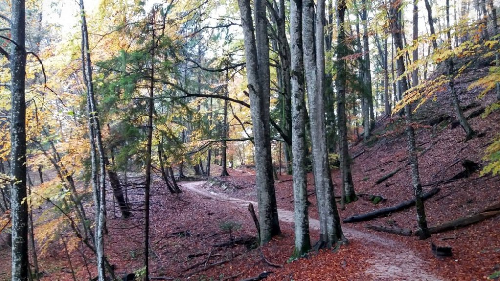 croatie parc national plitvice automne