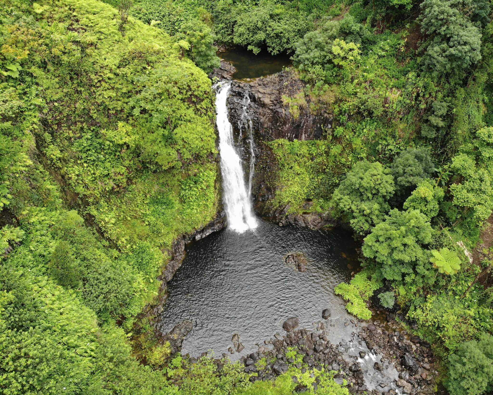 Les 5 Incontournables de l'île de Maui