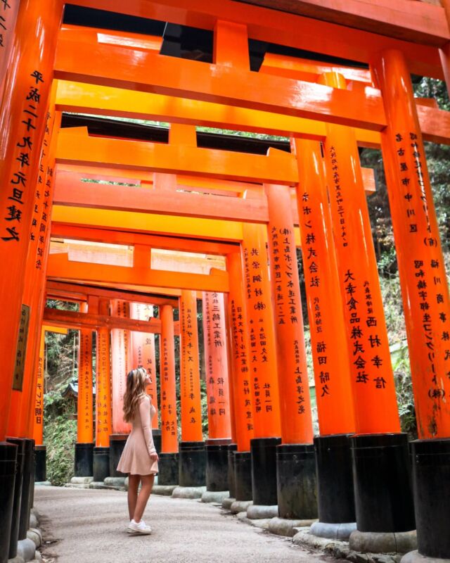 BILAN 2024 ❤️

2024 a été une année très riche pour nous ! D'abord avec des voyages merveilleux au Japon, à explorer des régions qui nous faisaient rêver depuis des années ⛩️; à Yellowstone et Grand Teton, deux des plus beaux parcs américains 🗻🌲; à Chicago, une ville qui a su nous surprendre  !

Mais 2024 c'est aussi pour nous l'année où est devenus propriétaires aux États-Unis 🏡🇺🇸

On espère que 2025 sera tout aussi forte en émotions, mais avec nos projets, ça devrait l'être 😊

❓Et vous vous faites quel bilan de votre année 2024 ?

#voyage #travel #paysages #japon #japan #okinawa #etatsunis #usa #2024